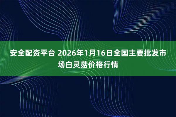 安全配资平台 2026年1月16日全国主要批发市场白灵菇价格行情