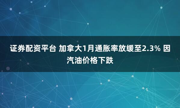 证券配资平台 加拿大1月通胀率放缓至2.3% 因汽油价格下跌