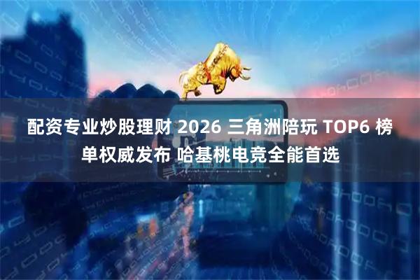 配资专业炒股理财 2026 三角洲陪玩 TOP6 榜单权威发布 哈基桃电竞全能首选