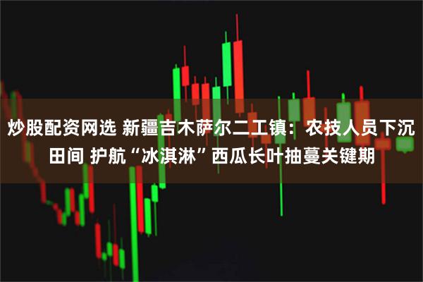 炒股配资网选 新疆吉木萨尔二工镇：农技人员下沉田间 护航“冰淇淋”西瓜长叶抽蔓关键期