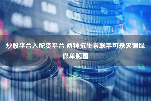 炒股平台入配资平台 两种抗生素联手可杀灭铜绿假单胞菌