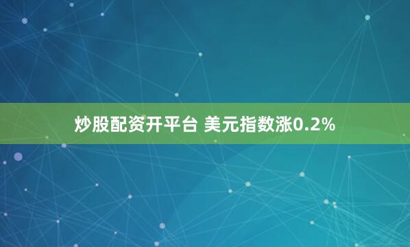 炒股配资开平台 美元指数涨0.2%